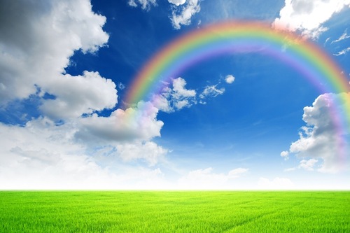 Image for article เดี่ยวผีผา : “ความหวัง”