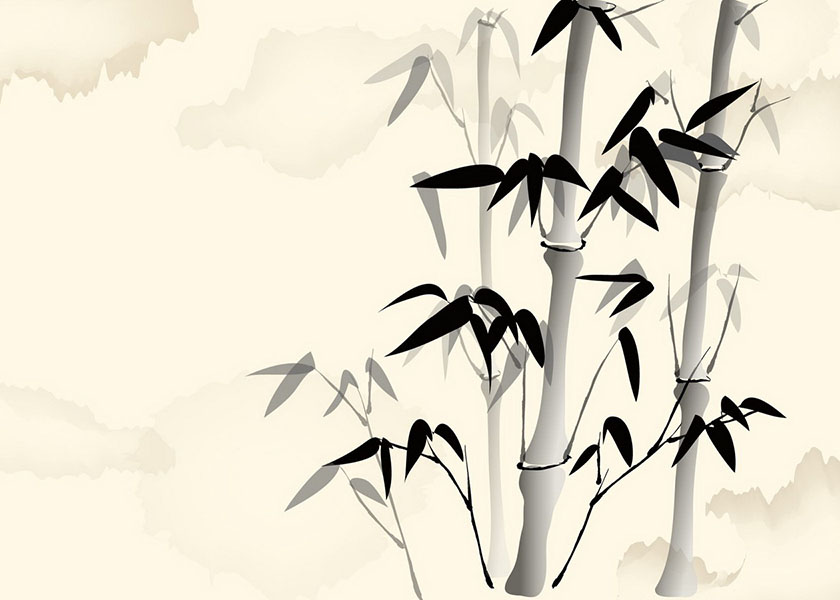 Image for article การโฆษณาชวนเชื่อเพื่อให้เกลียดชังของพรรคคอมมิวนิสต์จีน : จากเด็กสาวผมขาวสู่เหตุการณ์เผาตัวเองที่เทียนอันเหมิน