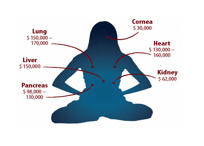 Image for article รายงานหมิงฮุ่ย : ผู้ฝึกฝ่าหลุนกงถูกสังหารอย่างเป็นระบบในประเทศจีนเพื่อเก็บอวัยวะของพวกเขา