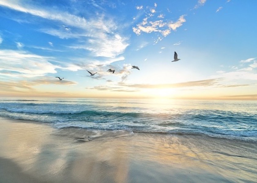 Image for article ชายผู้พิการจากโรคหลอดเลือดสมองกลายเป็นเสาหลักของครอบครัวหลังฝึกฝ่าหลุนต้าฝ่า