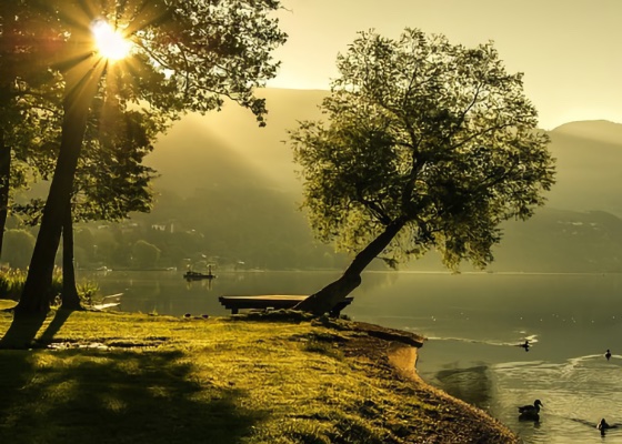 Image for article ความปีติยินดีหลังจากได้รับความช่วยเหลือ